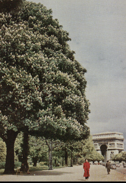 Chronology Donation Jacques Henri Lartigue