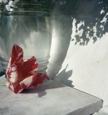 Volez, Voguez, Voyagez” Lartigue at the Grand Palais – Donation Jacques  Henri Lartigue